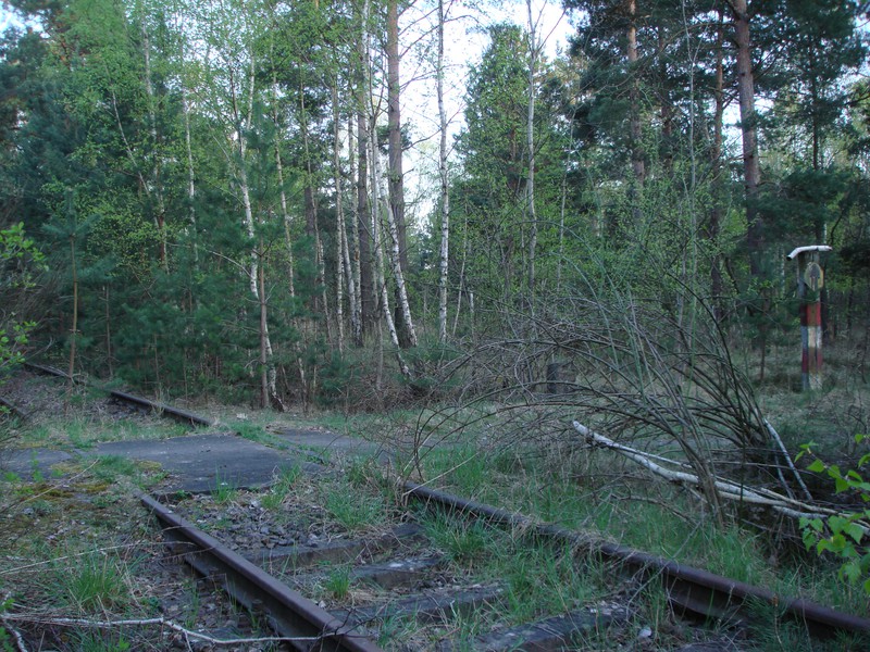 Mitten im Wald ein kleiner ländlicher Bahnübergang