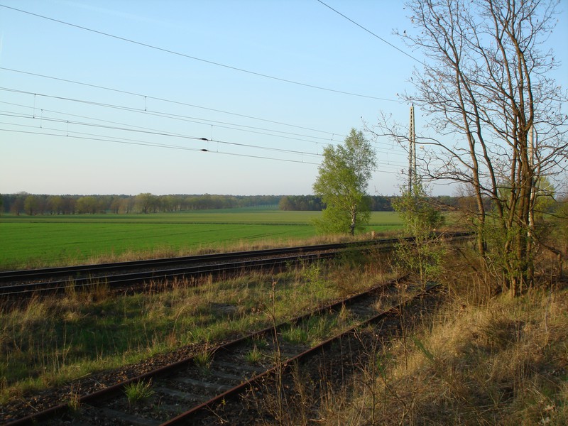 Das Streckenende südwestlich des Bahnhofs Neupetershain